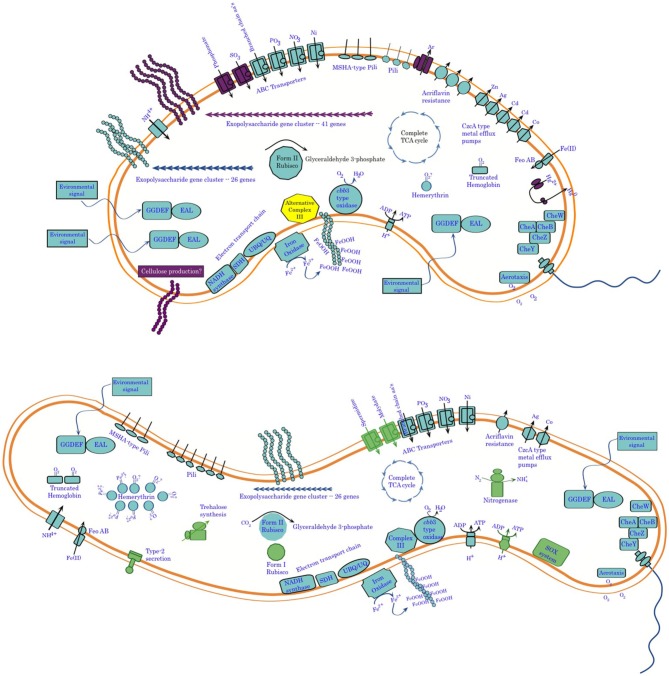 Figure 11