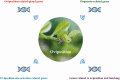 Graphical Abstract