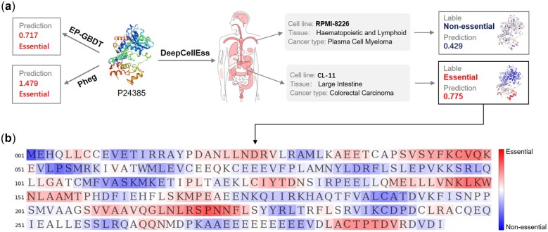 Fig. 6.