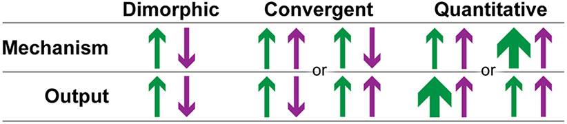 Fig. 3: