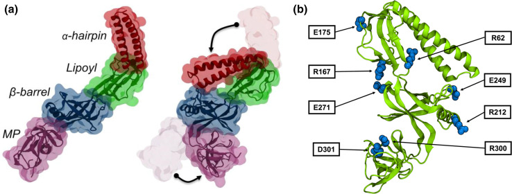 Fig. 11.