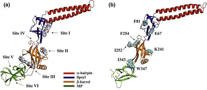 Fig. 9.