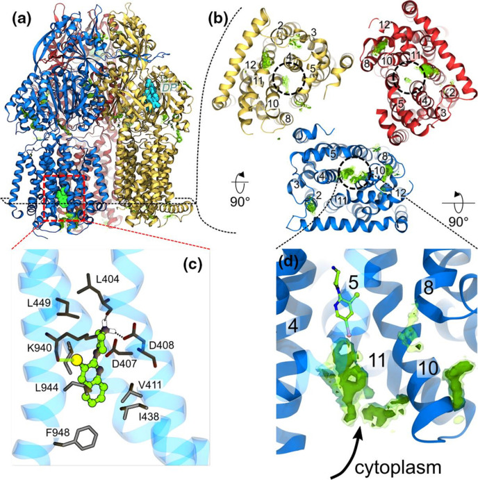 Fig. 8.