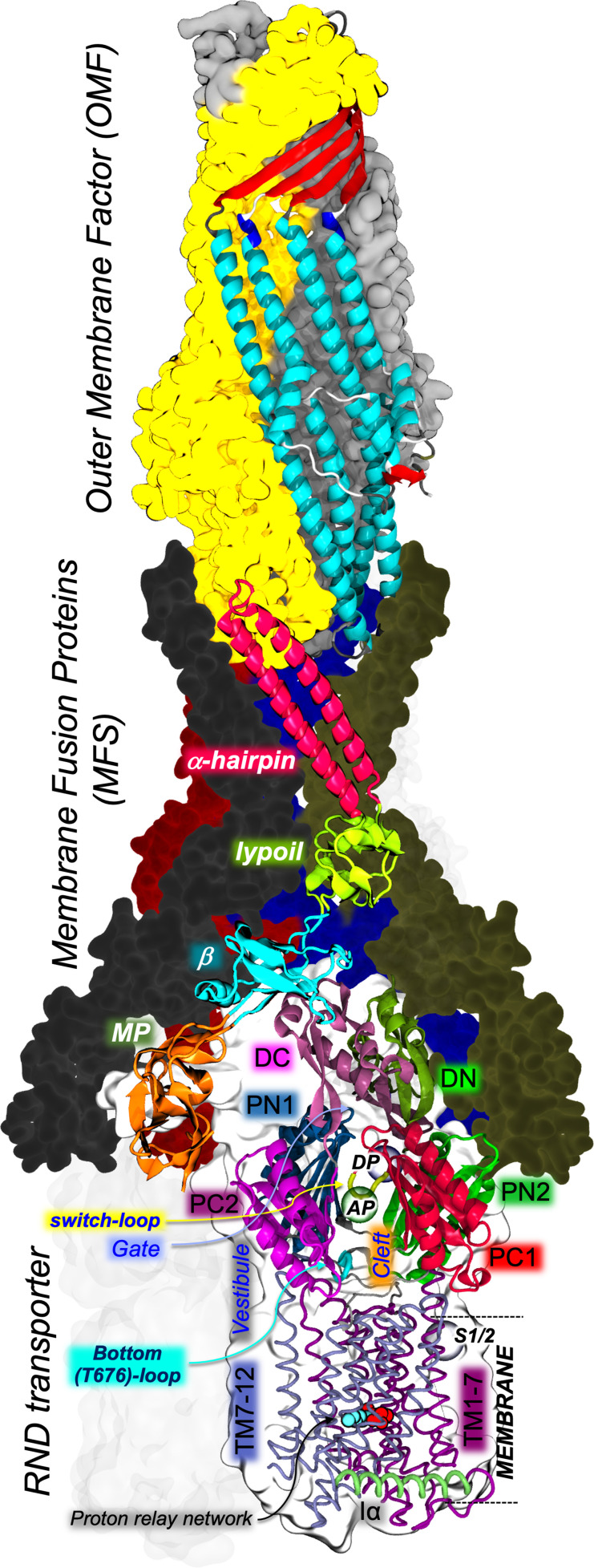 Fig. 1.