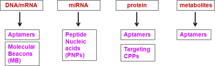 Fig. 1