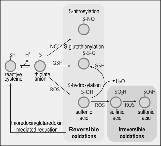 FIG. 8.