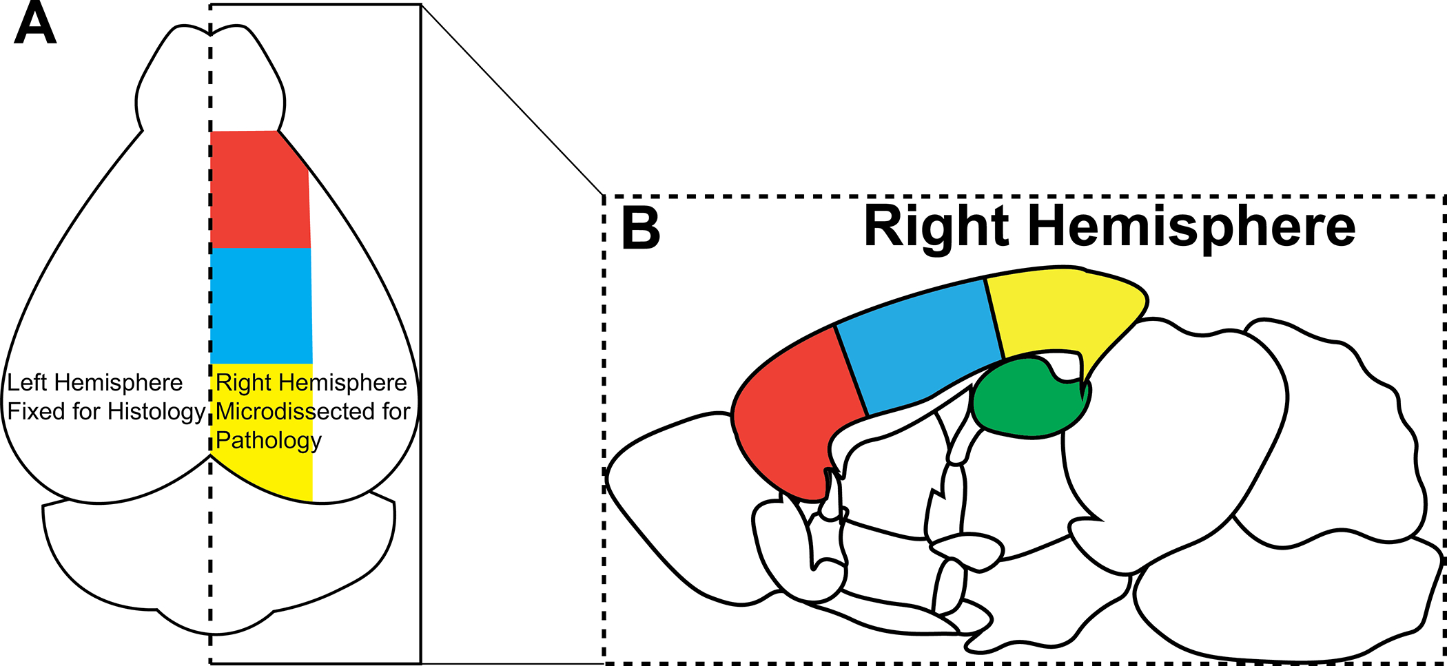 Figure 5: