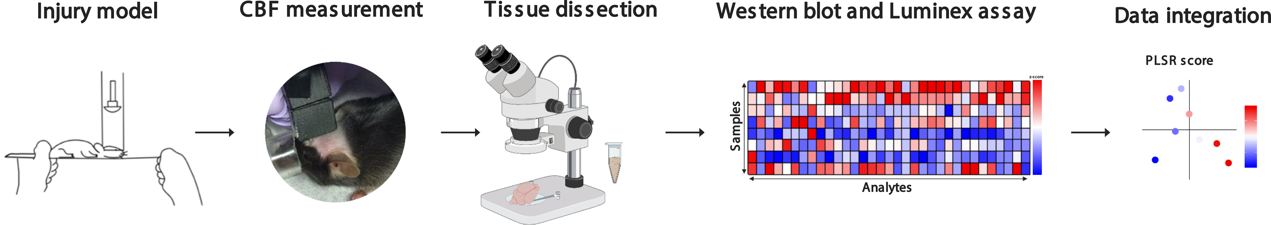 Figure 1: