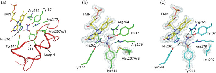 FIGURE 4