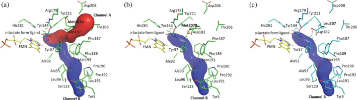 FIGURE 6