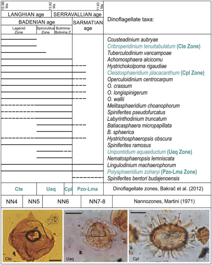 Figure 5.