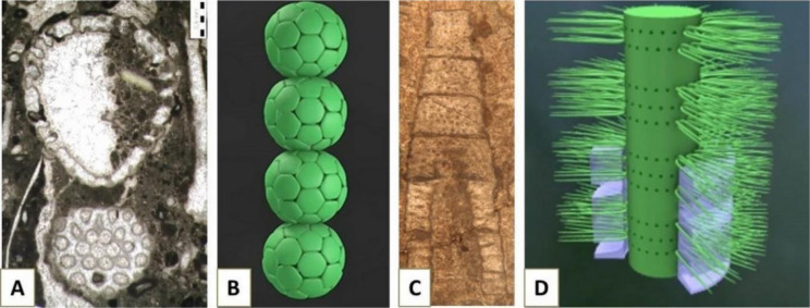 Figure 11.