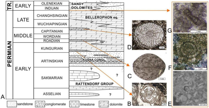 Figure 9.