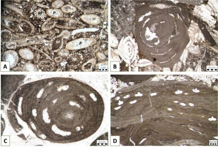 Figure 10.