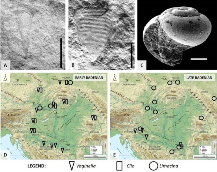 Figure 12.