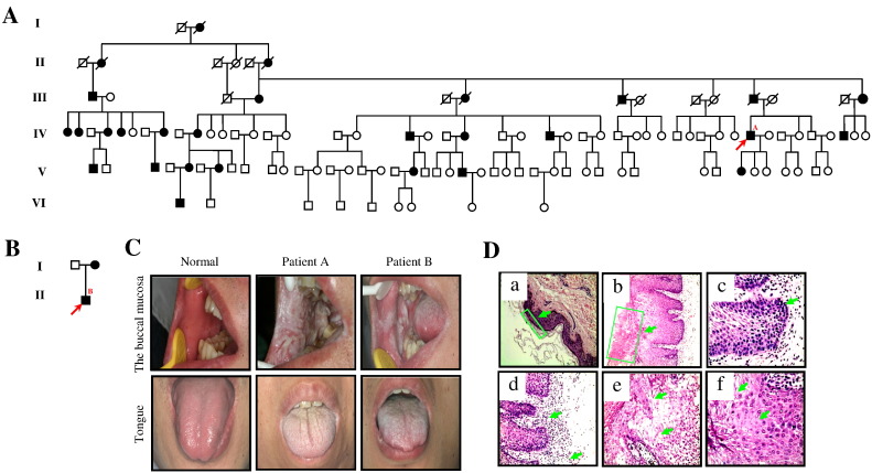 Fig. 1