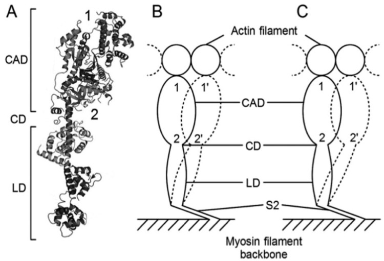 Figure 12