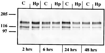 FIG. 8