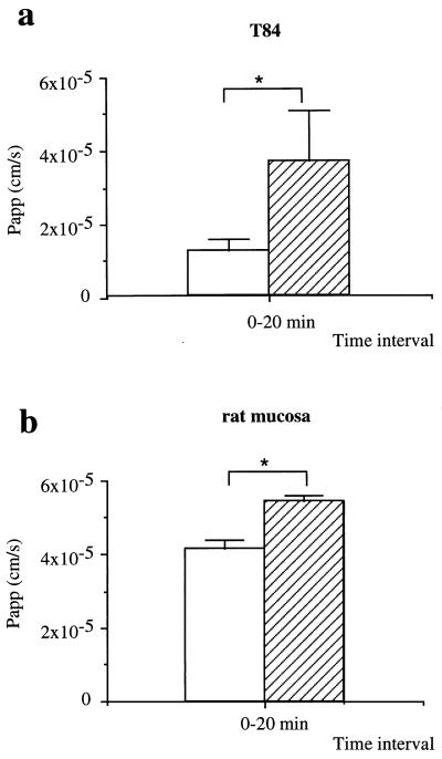 FIG. 6