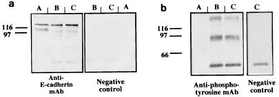 FIG. 9