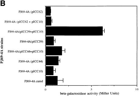 graphic file with name cdd242f7b.jpg