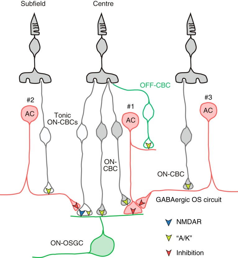 Figure 11.