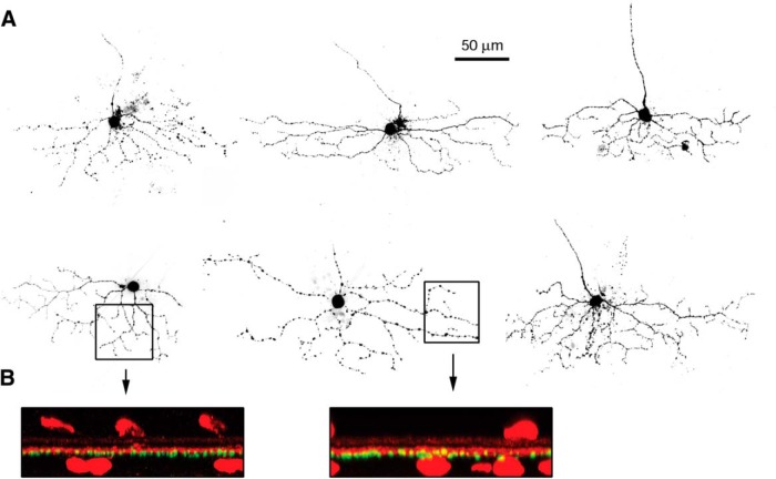 Figure 3.