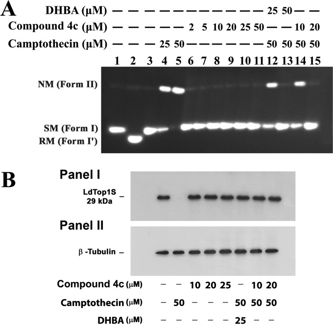 FIG 2