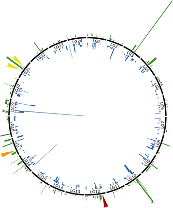 Fig. 4