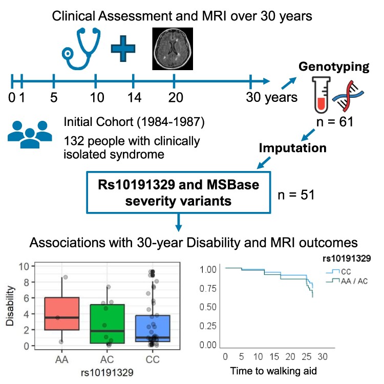 Graphical Abstract