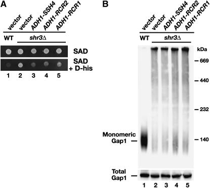 Figure 2.—