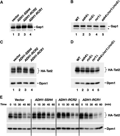 Figure 6.—