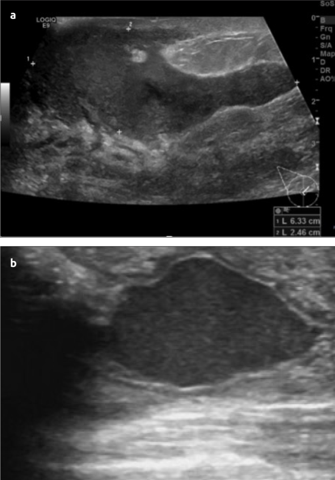 Figure 2. a, b