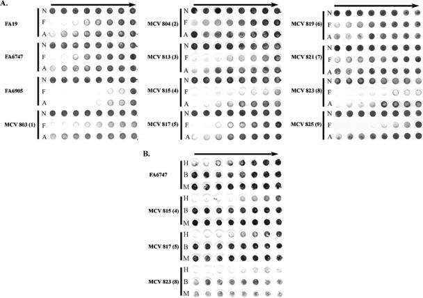 FIG. 5.