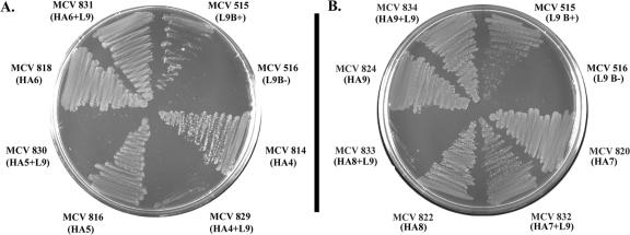 FIG. 8.