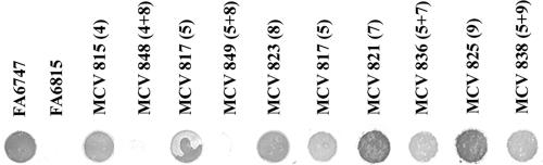 FIG. 7.