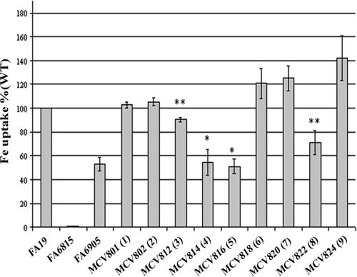 FIG. 6.