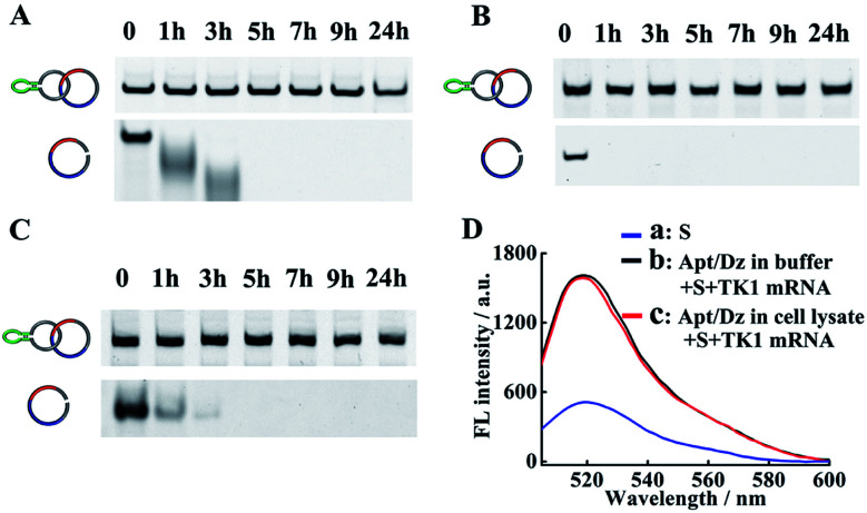 Fig. 3