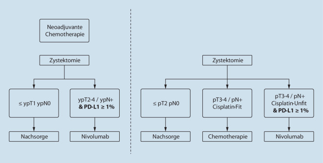 graphic file with name 120_2022_1983_Fig1_HTML.jpg