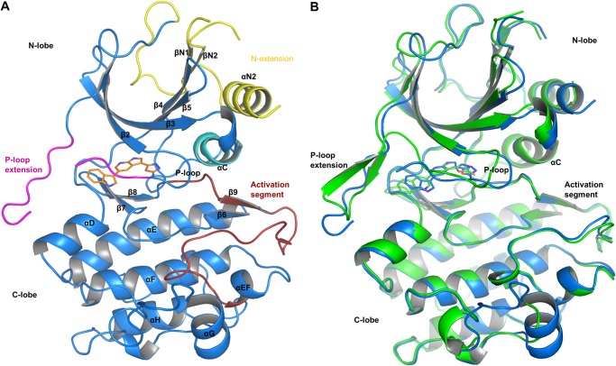 FIGURE 2.