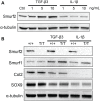 Fig 7