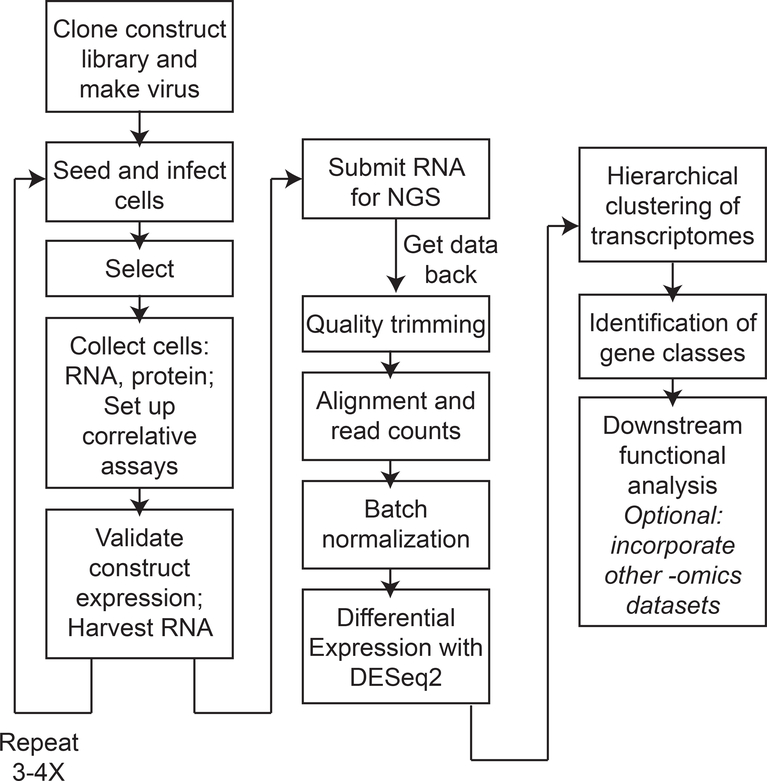 Figure 1: