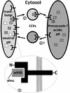 Figure 7.