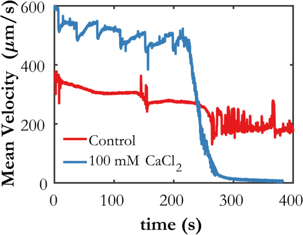 Mean horizontal velocity for each case determined by PIV. The clotting time is observed to be 220 s.