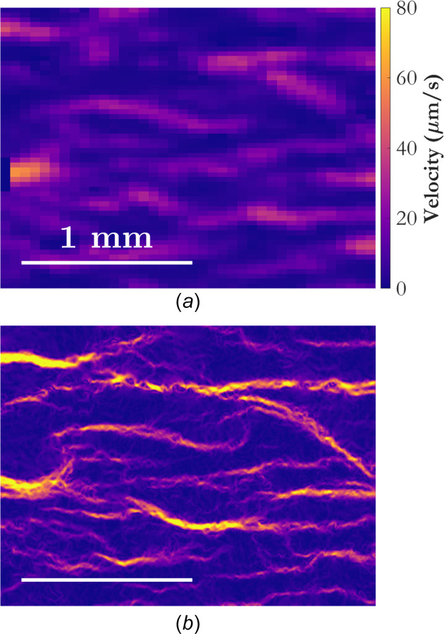 Instantaneous snapshots of the velocity field at t = 330 s for (a) PIV and (b) wOFV. The velocity field is colored according to velocity magnitude, and the spatial scale is shown in the lower left of each subfigure.