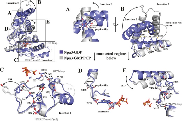 FIG 2