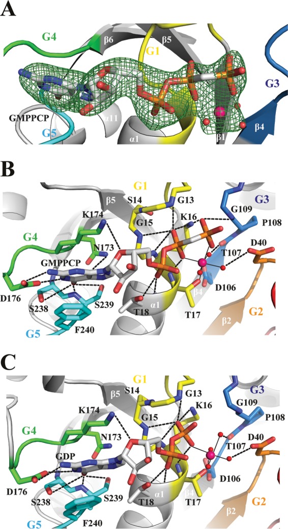 FIG 3