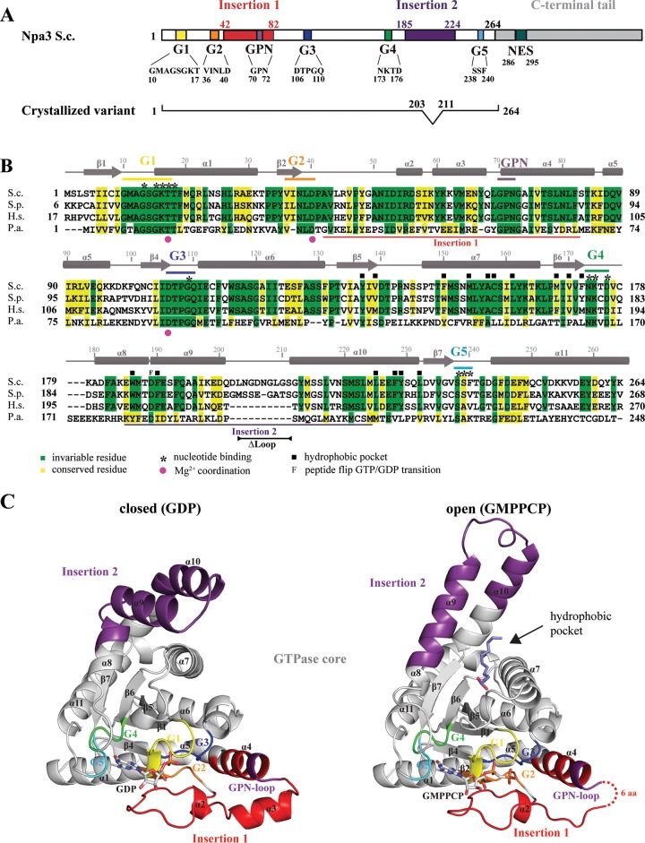 FIG 1