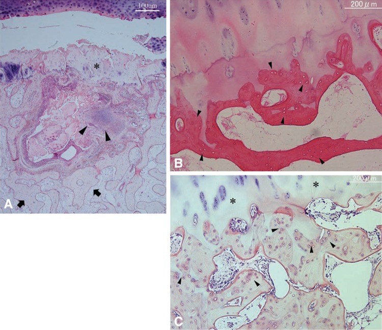 Fig. 4A–C