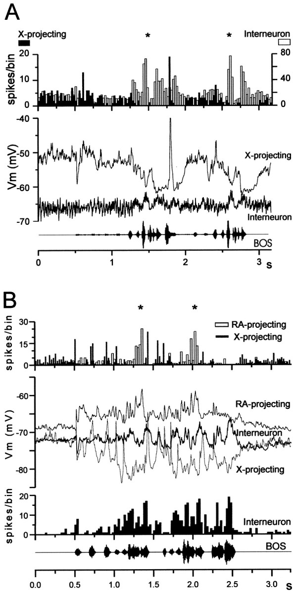 Fig. 12.